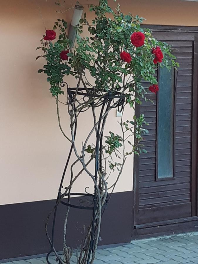 Herkules Apartman Zalakaros Buitenkant foto